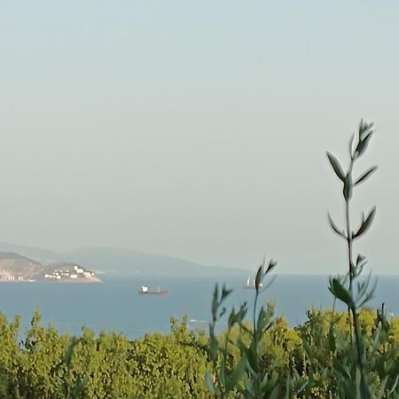 Zagradge I.N. Apartments Sutomore Εξωτερικό φωτογραφία
